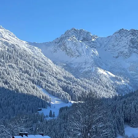 Alpenheimat 1658 *