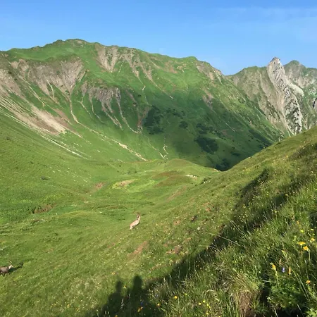 Apartamento Alpenheimat 1658 Mittelberg